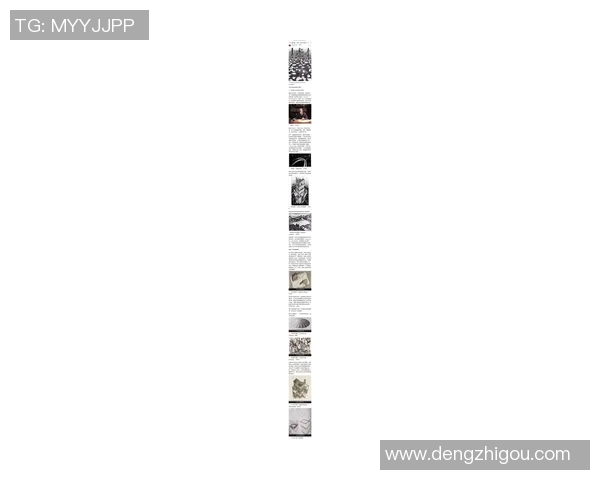 探索索博斯洛伊的历史与文化魅力揭示其在现代社会的独特价值与影响